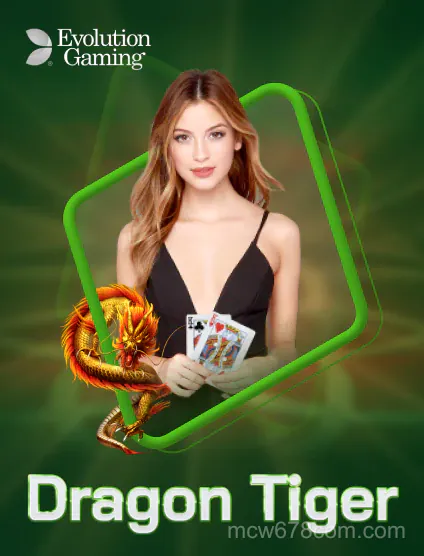 Rồng Hổ Evolution
